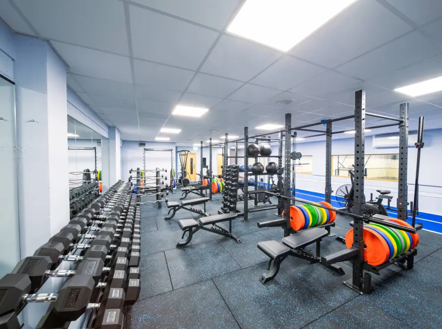 GYM 17